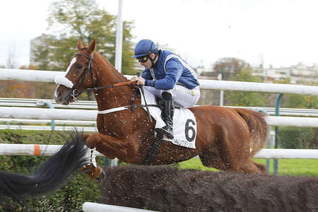 Actualités Hippiques